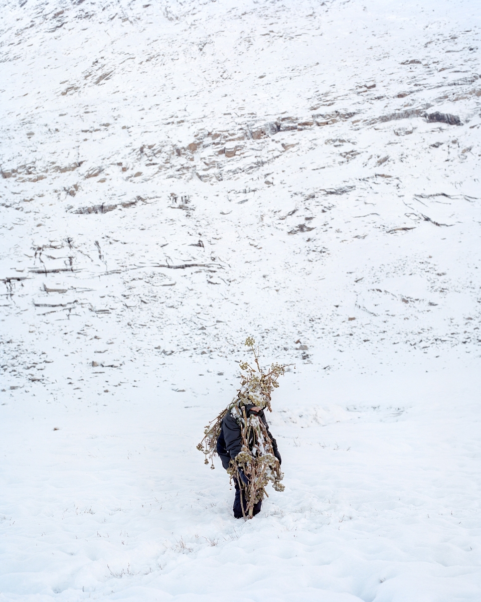Portrett av Amalie fra Grønland, i et snødekt landskap. Selv er hun delvis dekket til av vegetasjon. Bildet er en del av serien "Eyes as Big as Plates".