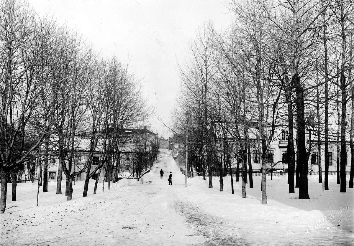 Norra Kyrkogatan mot norr, från kyrkan, början av 1900-talet.