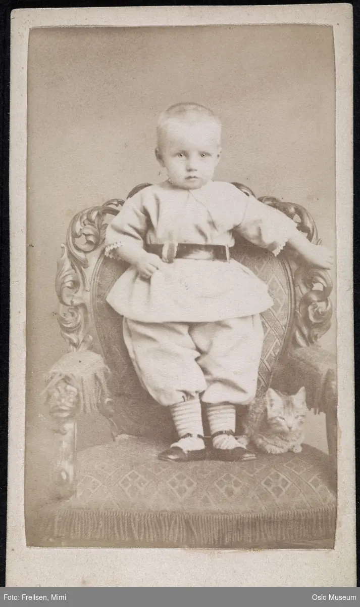 portrett, barn, stående helfigur i stol, katt
