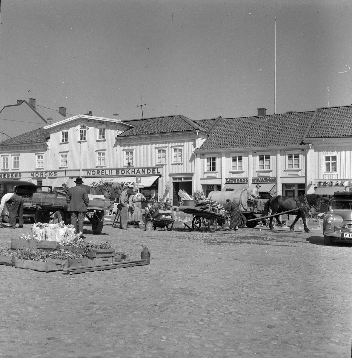 Marknad på Stora torget. Bland annat Lisa Andersson (Lisas blomsterservice) säljer blommor. Augusti 1954.