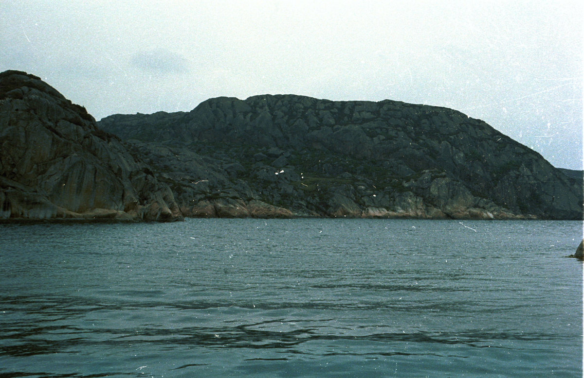 Risøy, Fitjar, Hordaland, registrering, landskapet.