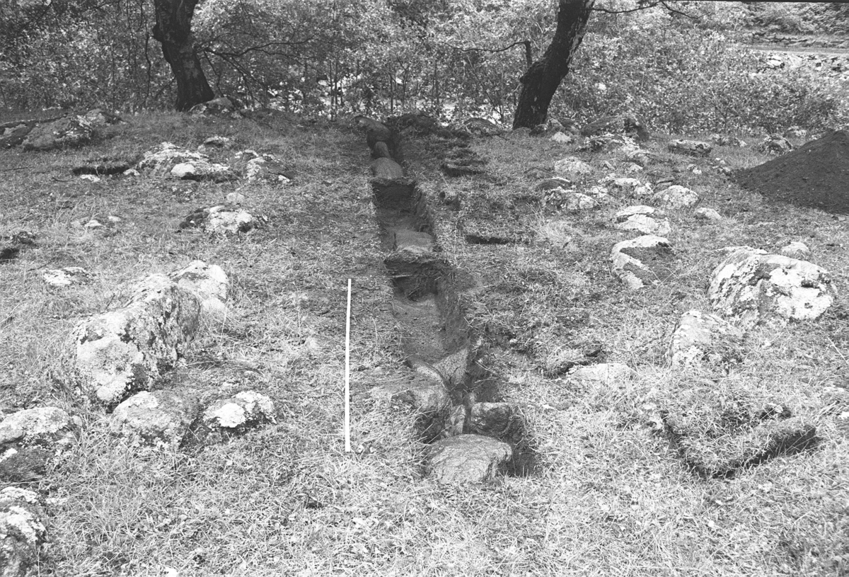Prøvgravninger juli 1977, Hareid, gnr. 25. Varberg, Eidfjord, Hordaland, Mylningstveit