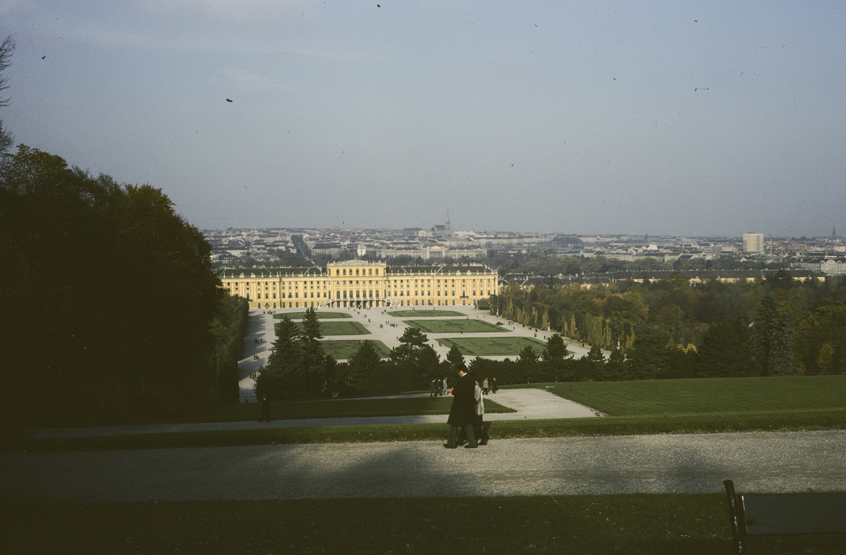 Schönbrunn palasset i Wien.