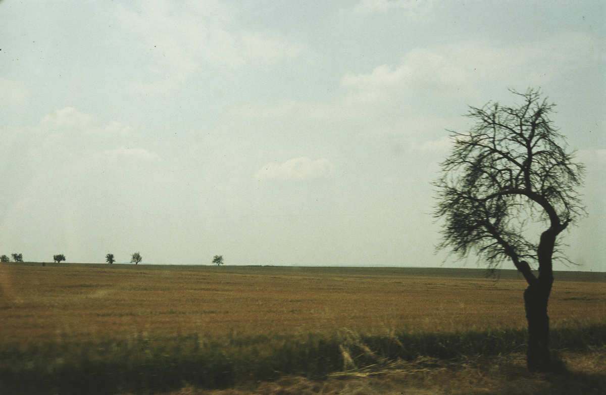 Typisk landskap fra jordbruksdistriktet omkring Nitra.