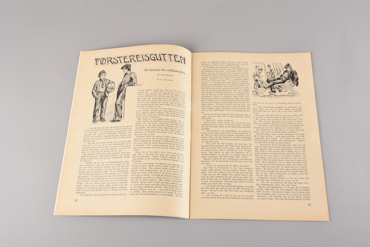 Julehefte frå 1955, med tittel "Julehygge" Heftet har tekstbidrag og illustrasjonar frå fleire personar. Tekstdelen er trykt i svart-kvitt, mens omslaget har ulike fargemotiv både på utsida og innsida.
