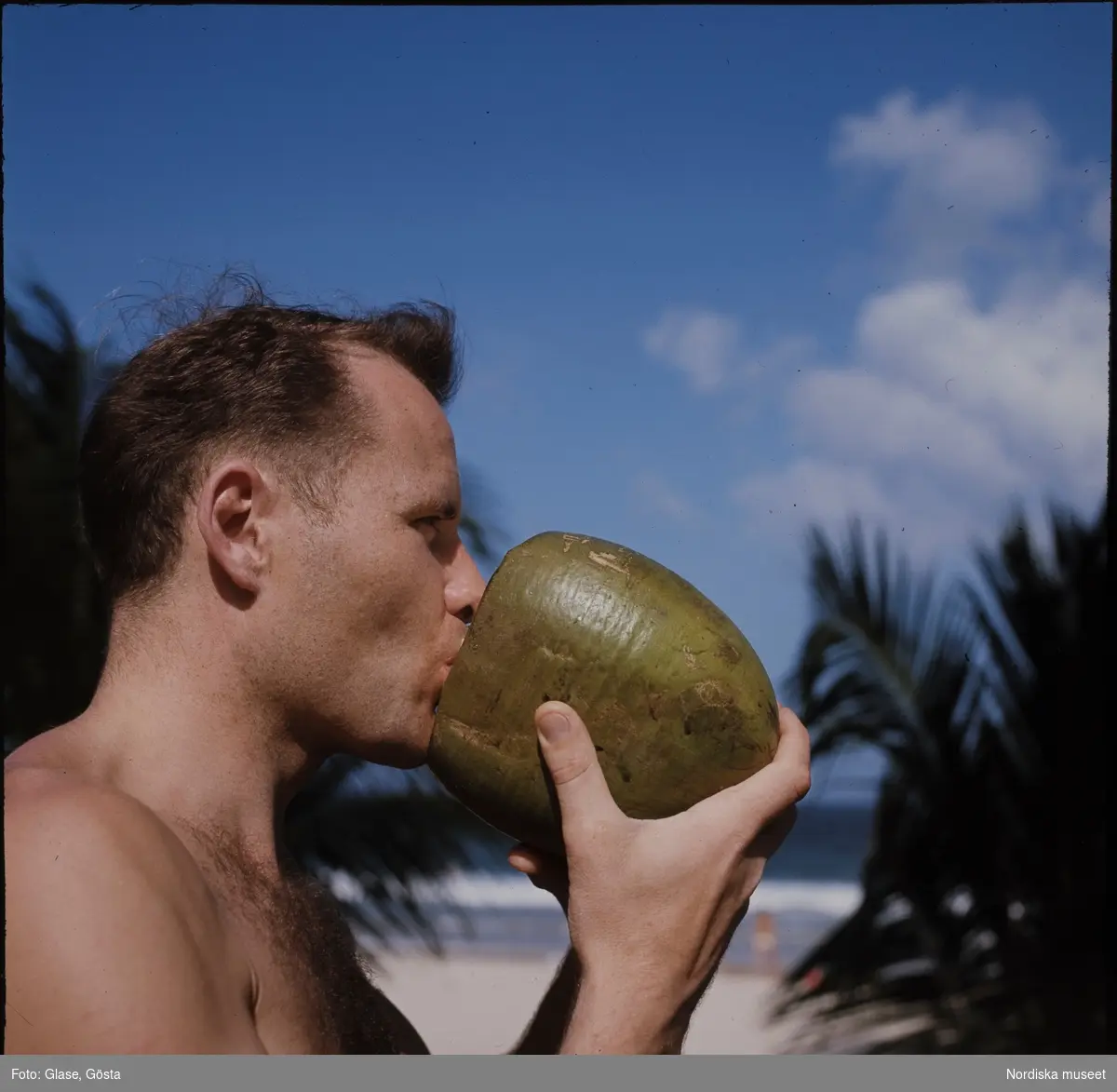 Västindien. En man dricker ur en kokosnöt.
