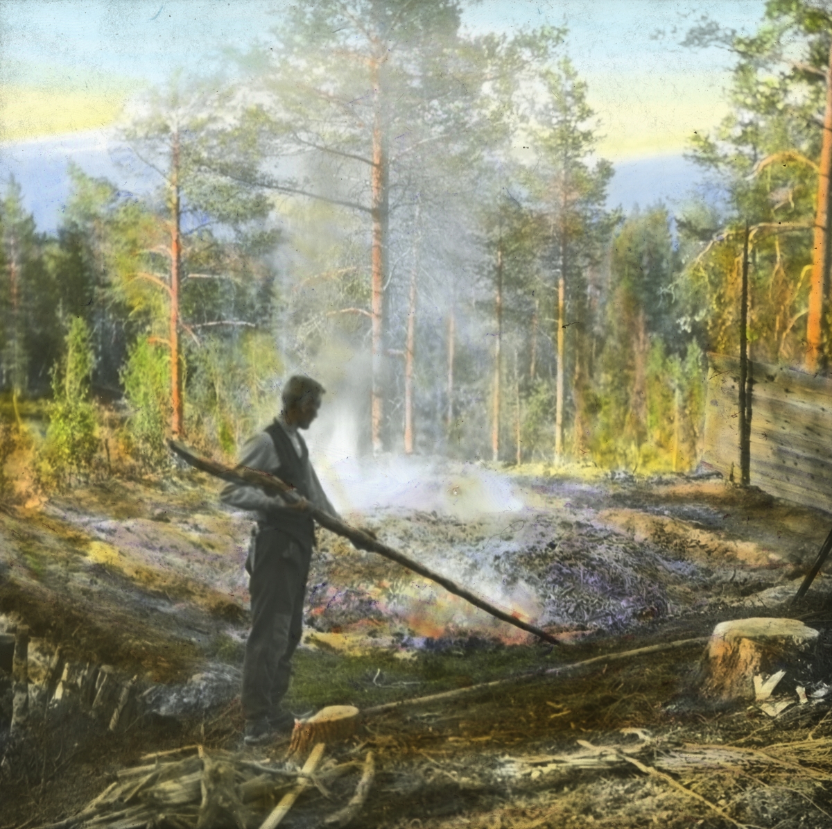 Håndkolorert dias. Tjærebrenning i Målselvdalen i 1928. En mann holder en lang stokk og kontrollerer brenningen av tjæremila.