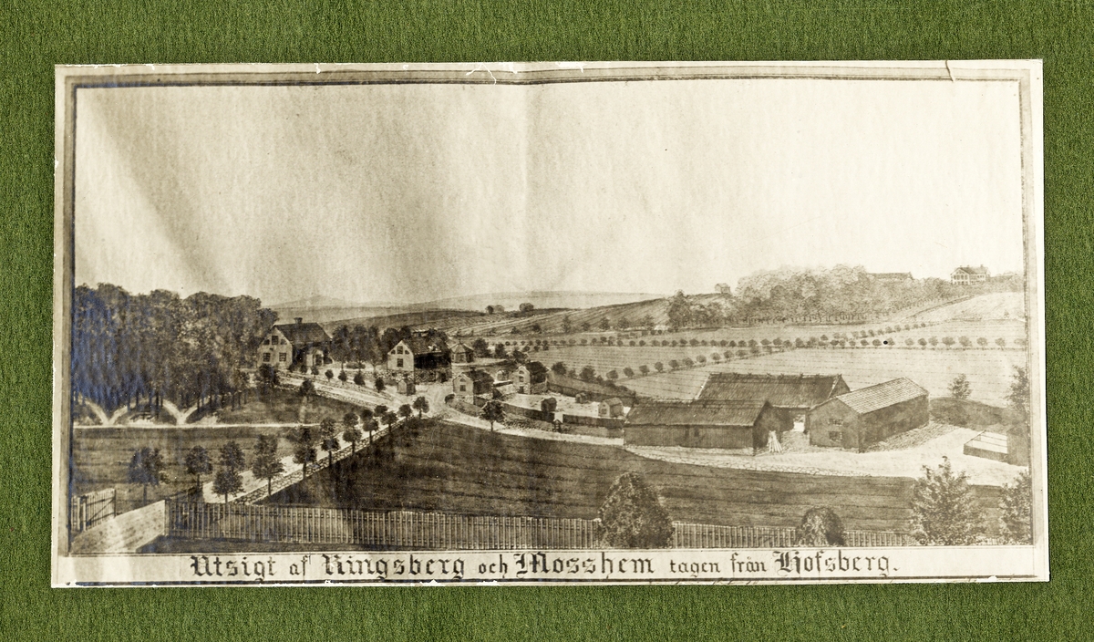 "Utsikt af Ringsberg och Mosshem tagen från Hofsberg".
Avfotograferad akvarellmålning från ca 1870 (i museets samlingar).