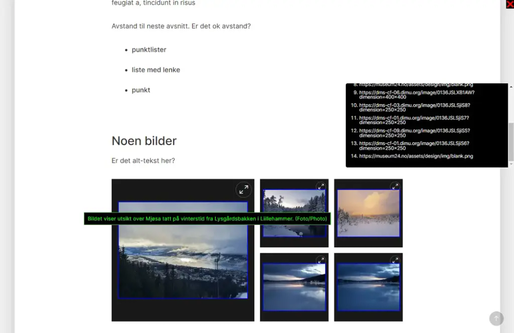 Skjermbildet viser bruk at "alt text tester" plugin i chrome
