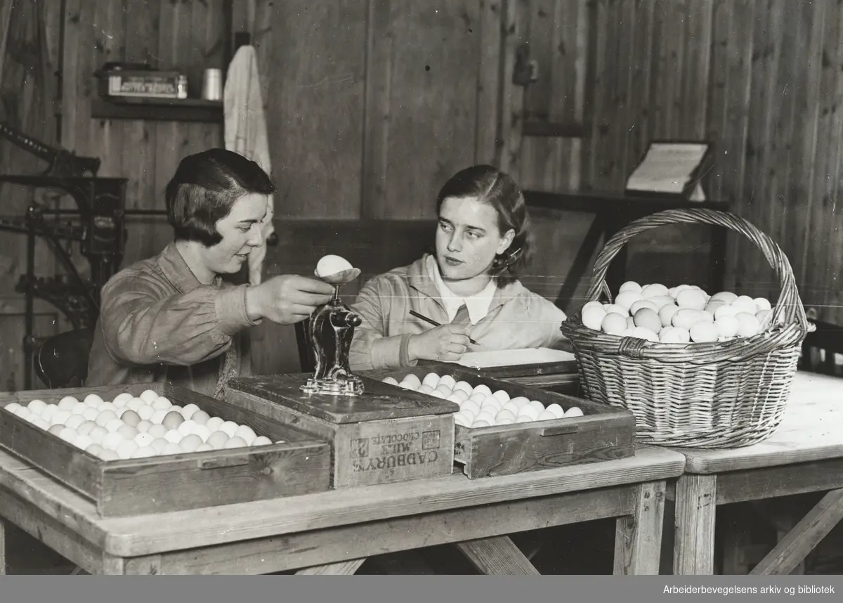 To elever ved Midland Agricultural College i Nottingham undervises i gradering og kontroll av egg. 17. Februar 1932. Arbeidermagasinet/Magasinet for Alle