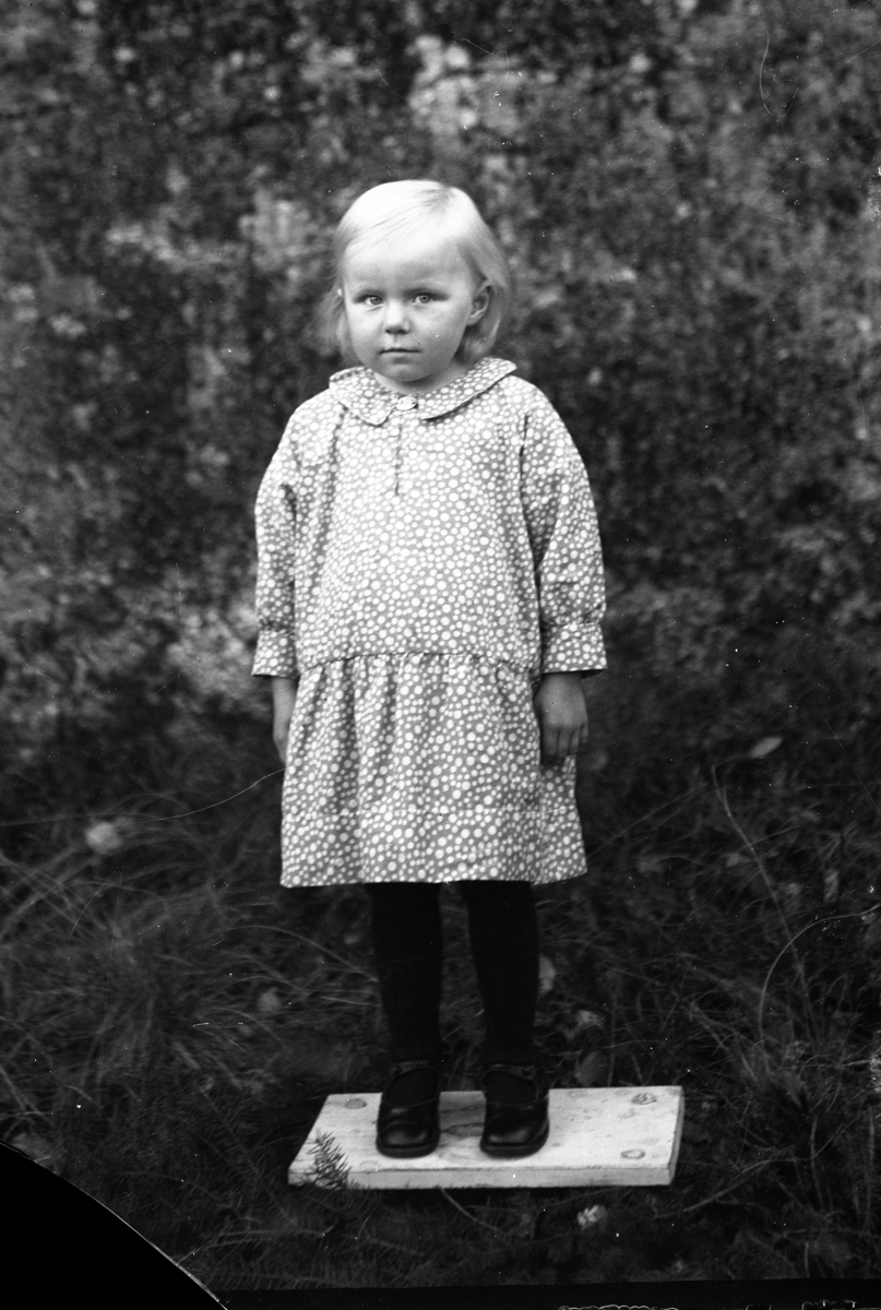 Portrett av jente. Trolig et av barna til Ole Romsdalen 

Fotosamling etter fotograf og skogsarbeider Ole Romsdalen (f. 23.02.1893).