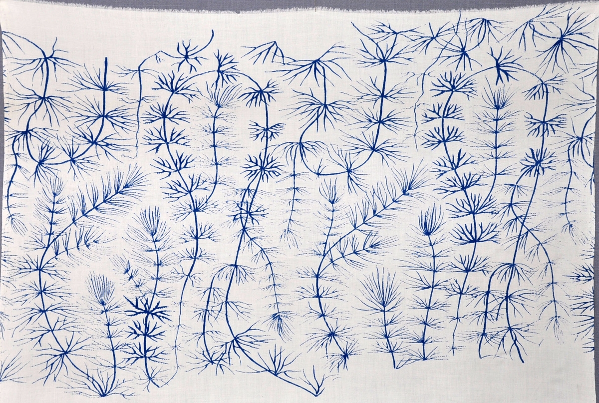 Bomullstyg, 1950-tal.
Tryckt gardintyg på 80 cm bredd. Mönster med blått tryck på vit botten med spröda blad och stjälkar som slingrar.
Antal tryckfärger: 1
Rapport: 44 x 36,5 cm.
Provtryck.