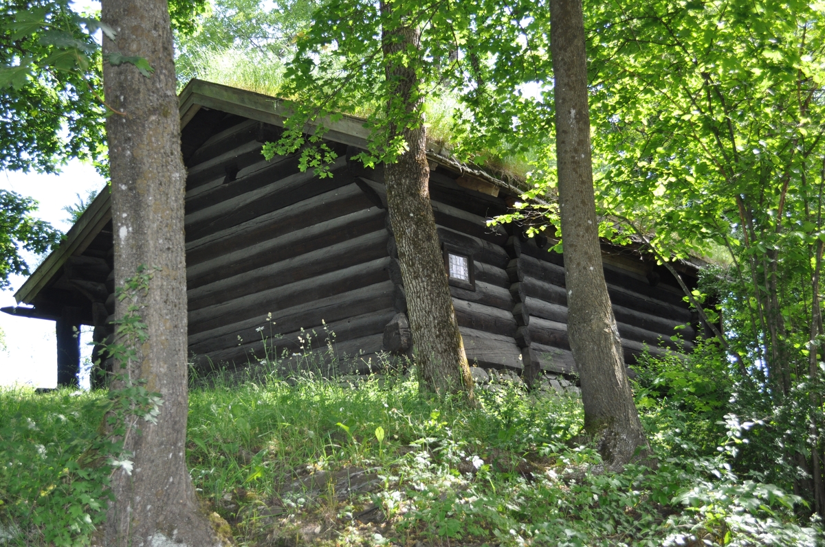 BRUSTOGA
Frå Åbø-Groven, seinare Bru, i Vinje.  Brustoga er ei årestoge frå mellomalderen. Den har ope eldstad (åre) midt på golvet og røykopning (ljore) i taket, der røyken kan sleppe ut og ljoset inn. Golvet er av hardtrampa jord. Årestoga var den vanlege stogetypen gjennom heile mellomalderen, og i fjellbygdene i Telemark var dei i bruk til langt inn på 1700-talet, da stoger med peis og skorstein vann innpass. 

Stoga har magetelgd tømmer av malmfuru i veggene. Svalgangen ber årstalet 1704. På beitskiene ved døra er det innrissa solhjul, valknute og livets tre. Husbondseng inne i stoga har ein hest skore inn i den eine stolpen. I veggen over senga og ved sida av inngangsdøra er det kikkehol så det var mogleg å sjå ut. Årestogene hadde ikkje vindauge. Brustoga representerer, sammen med Sollidloftet og Bekkhusburet, byggjeskikken i Vest-Telemark ved museet. 

Brustoga hadde mange spor av årestoge ved innkomsten til museet, bl.a. ljoregrima, bitane (tverrbjelkene) inne, klampen for gjelgja og beitskier. Den blei rekonstruera som årestoge ved gjenoppføring på museet.


THE BRU COTTAGE
From Åbø-Groven, later Bru, in Vinje

The Bru cottage is an open-hearth cottage from the Middle Ages. It has an open hearth in the middle of the floor, and a smoke vent in the roof, where the smoke can escape and the light can enter. The floor consists of hard-trampled earth. The open-hearth cottage was the most common type of cottage throughout the Middle Ages. These were in use in the villages in the mountains of Telemark well into the 18th century, when cottages with fireplaces and chimneys came into use.

The cottage has logs of pine, rich in heartwood, in the walls. The hallway has the date 1704 on it. Sun wheels are carved in the end supports for the logs by the door, and on the wall beside the entrance door there is a peep hole to make it possible to look out. Open-hearth cottages did not have windows.

Along with the Sollid loft and the Bekkhus-buret, the Bru cottage represents building traditions in West-Telemark at the museum.