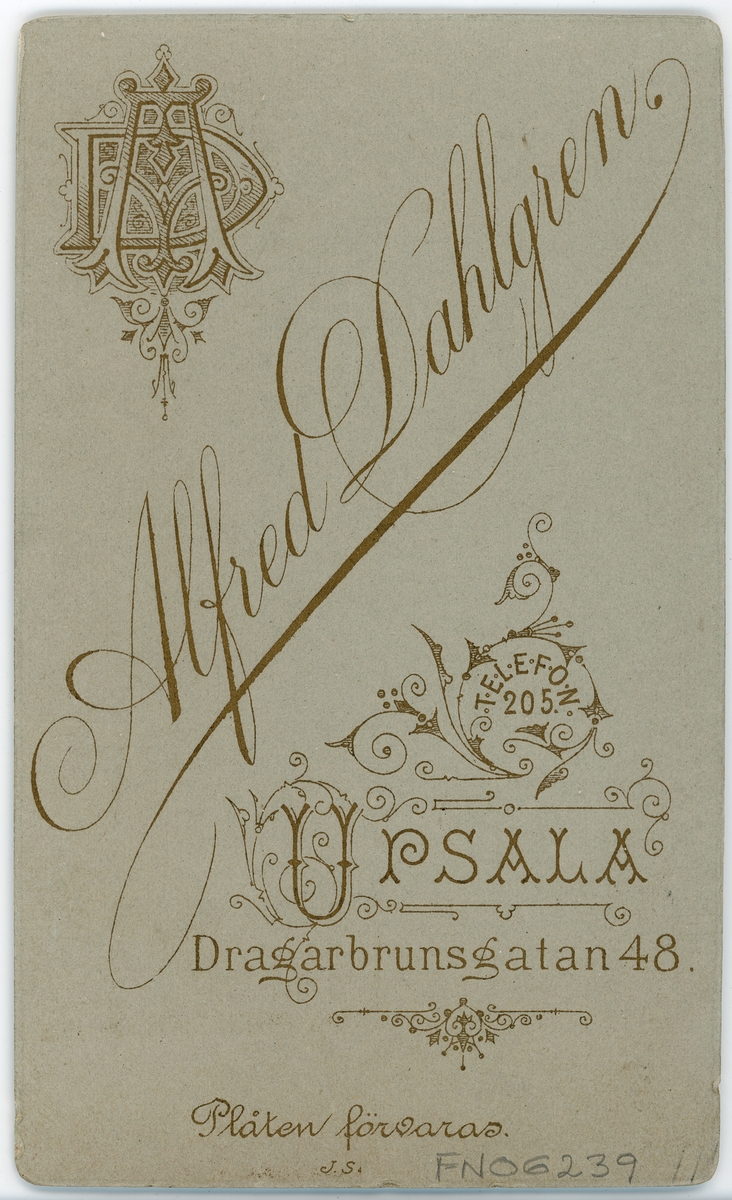 Kabinettsfotografi - Salle, Uppsala 1891