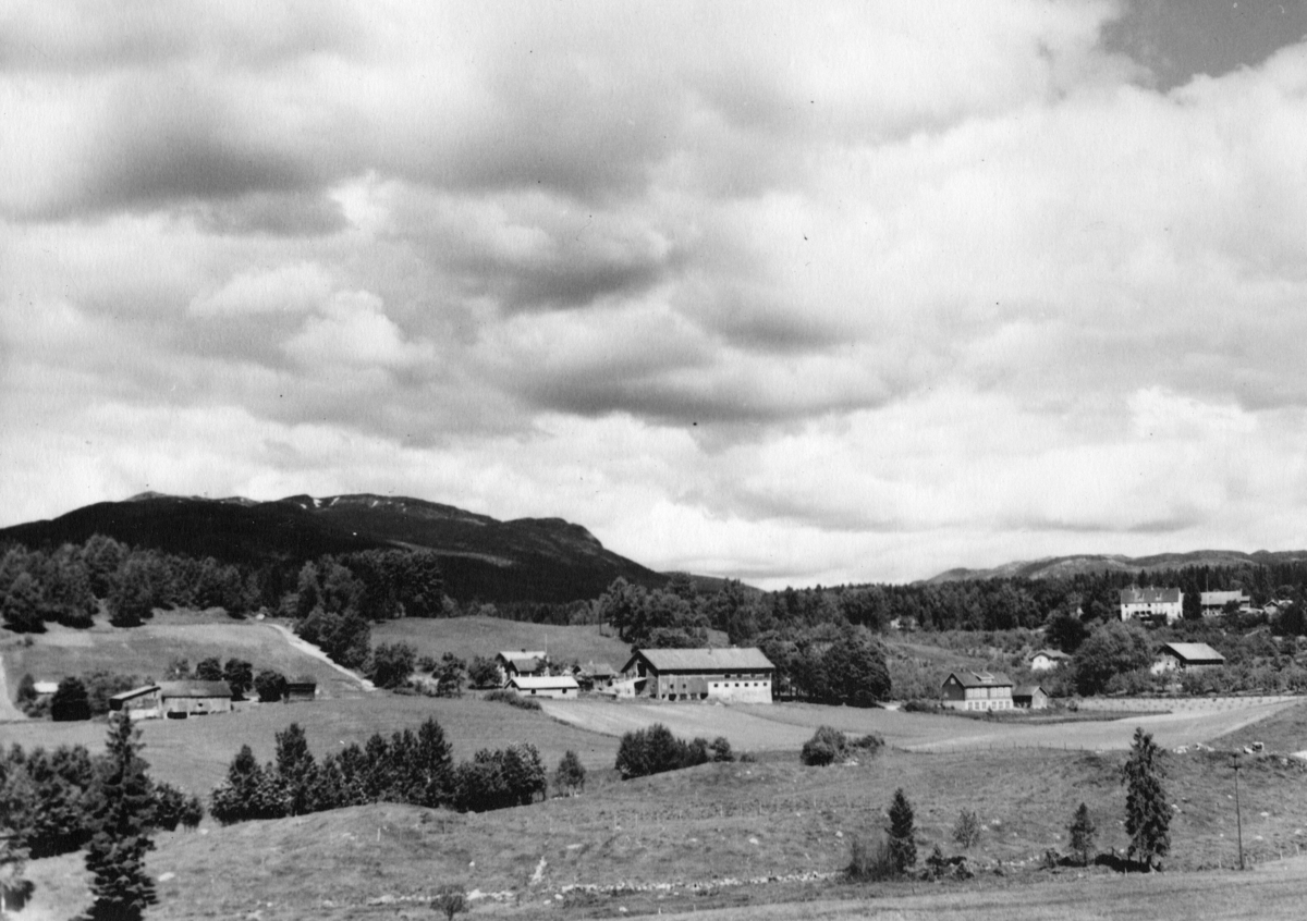 Gåraområdet 1930-åra.
Lengst til venstre Vestgarden med dei gamle husa.