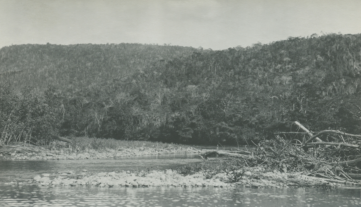 Fotografi från expedition till Peru 1920. Vy över flod och tät djungel.