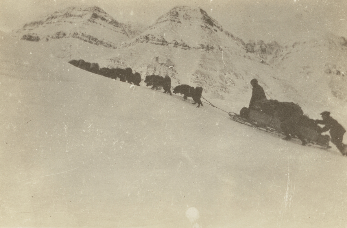 Fotografi från expedition till Spetsbergen. Motiv av ett hundspann och några människor som släpar en fullastad släde uppför en brant snötäckt backe.