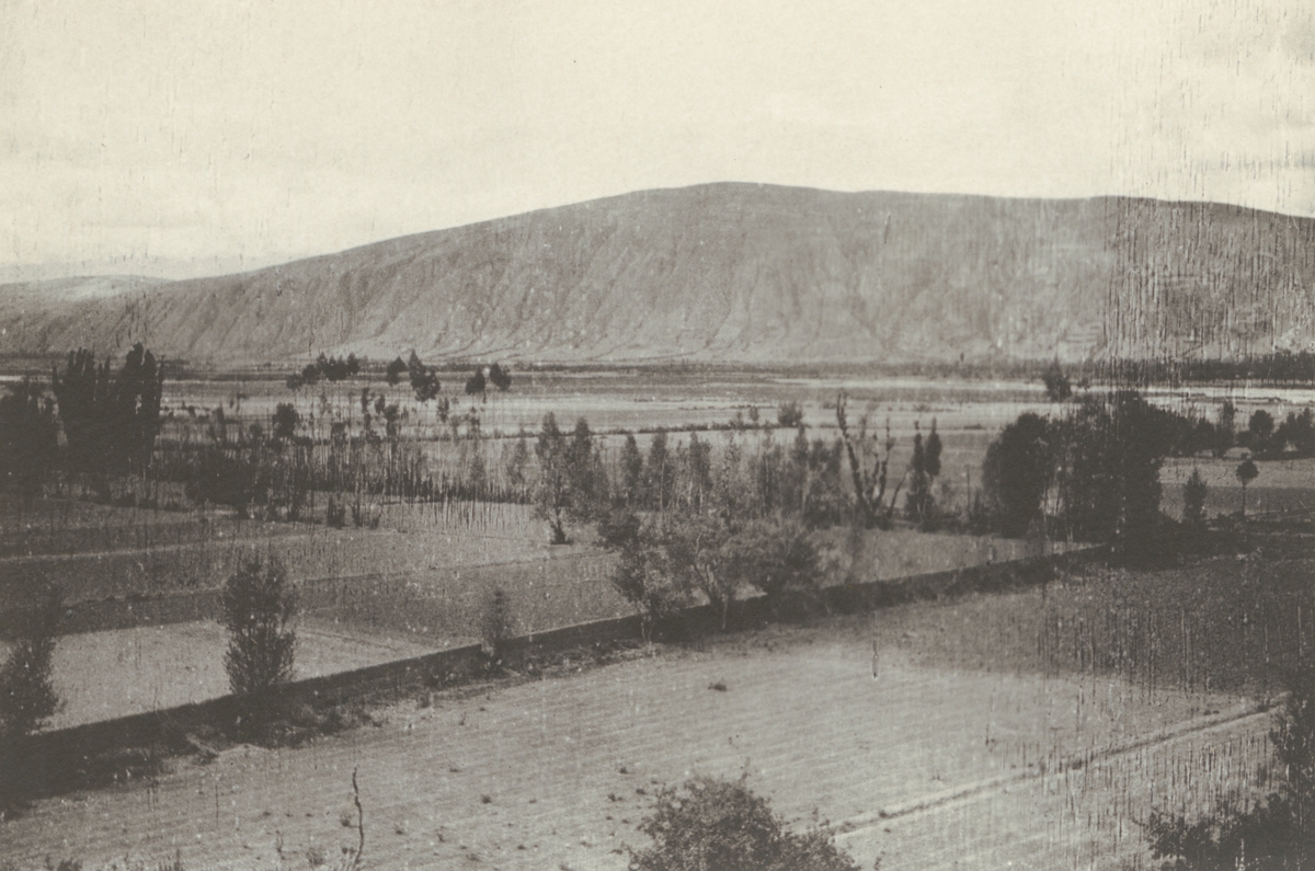 Fotografi från kuvert märkt med "Ernst Nordenskjöld". Vy över landskap med träd och berg.