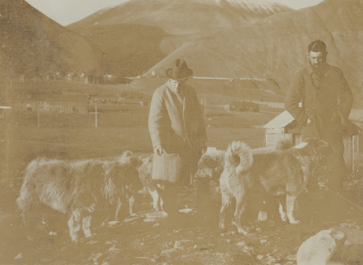 Fotografi från expedition till Sveagruvan. Motiv av två män och fyra hundar vid Sveagruvan.