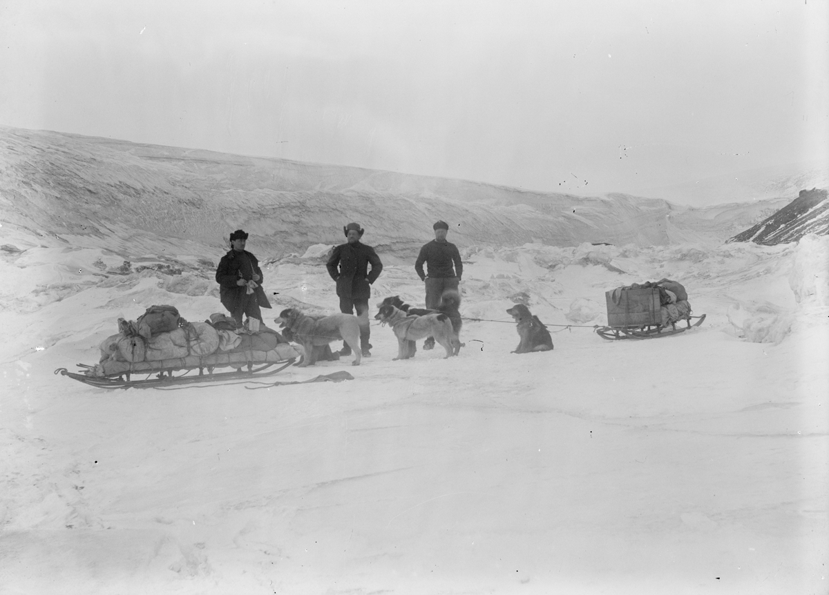 Fotografi från undsättningsexpeditionen med fartyget Uruguay 1903.  Motiv av tre män och hundspann i snölandskap.