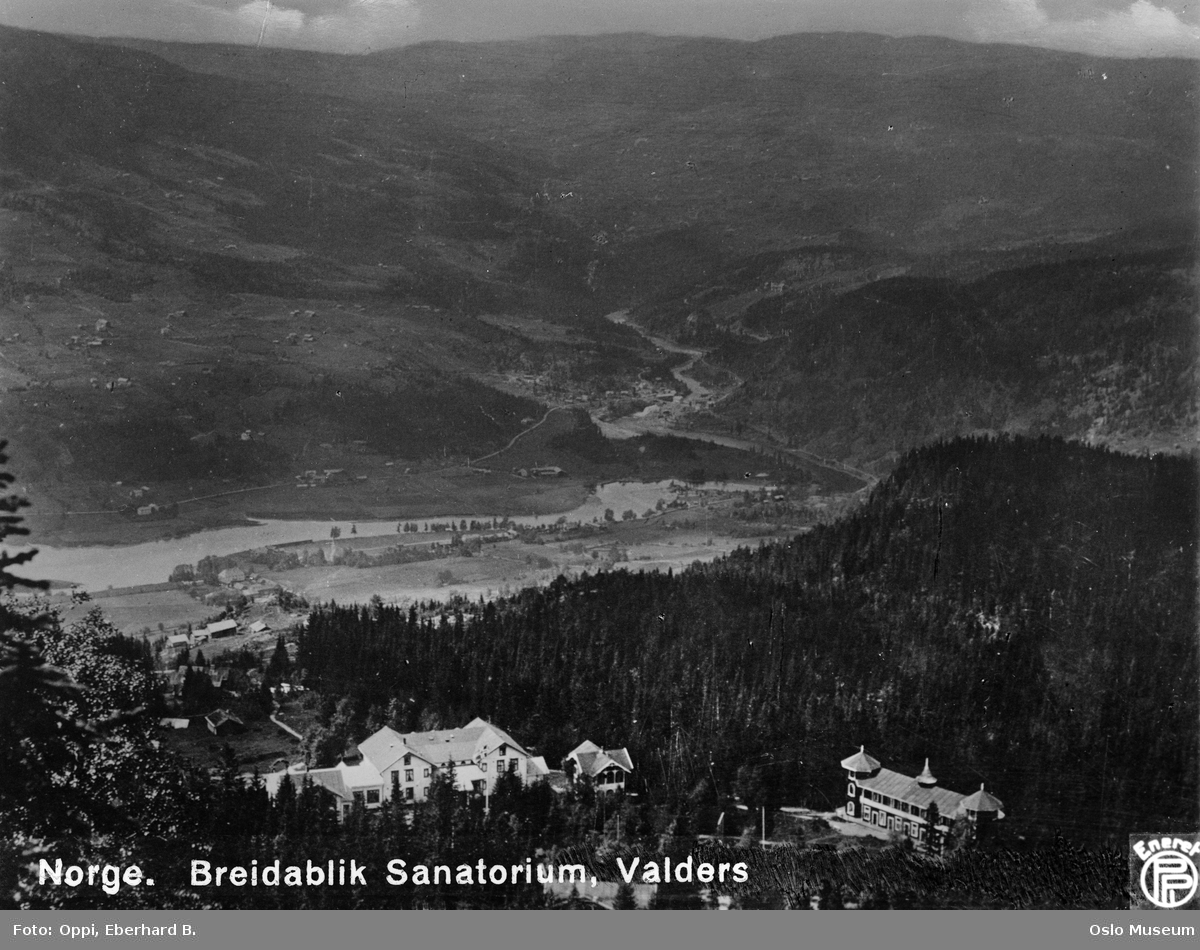 utsikt, Breidablik sanatorium, skog, elv, kulturlandskap, fjell