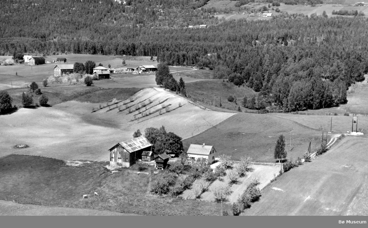 Flyfoto av Brenne og Tollehaugen, tatt 13. juni 1958.