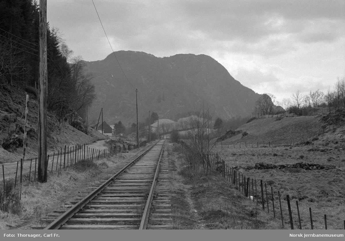 Langs Bergensbanens nedlagte strekning mellom Nesttun og Garnes, her sett vestover fra Brattlandsveien planovergang