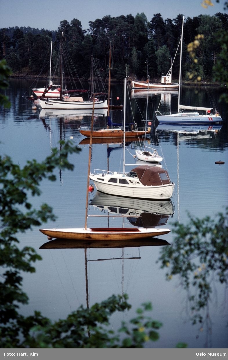 utsikt, fjord, seilbåter, motorbåter, fiskeskøyte