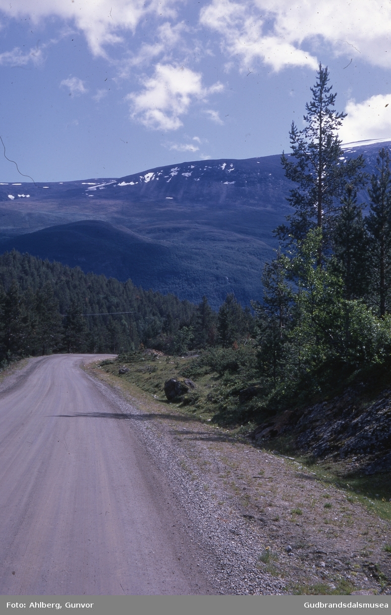 Lom 1969
Høydalssætervegen