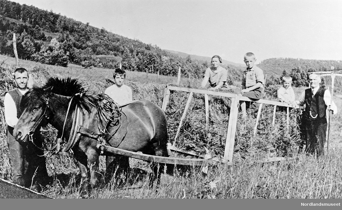 Arbeidsfolk med hest og høyvogn i Vestvatn. Til høyre: Hartvig Moli, møbelsnekker fra Bodø, og familien. Til venstre: Hans Olsen, Vestvatn og Johan Olsen.