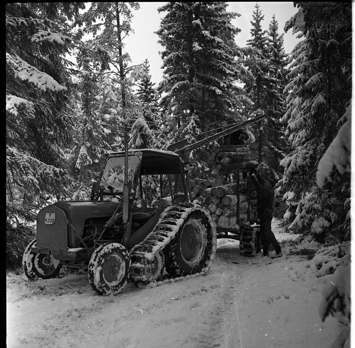 En skogstraktor står i en skogsglänta. Den har terränghjul. Det är snö på marken. Två män lastar trädstammar på en kärra.