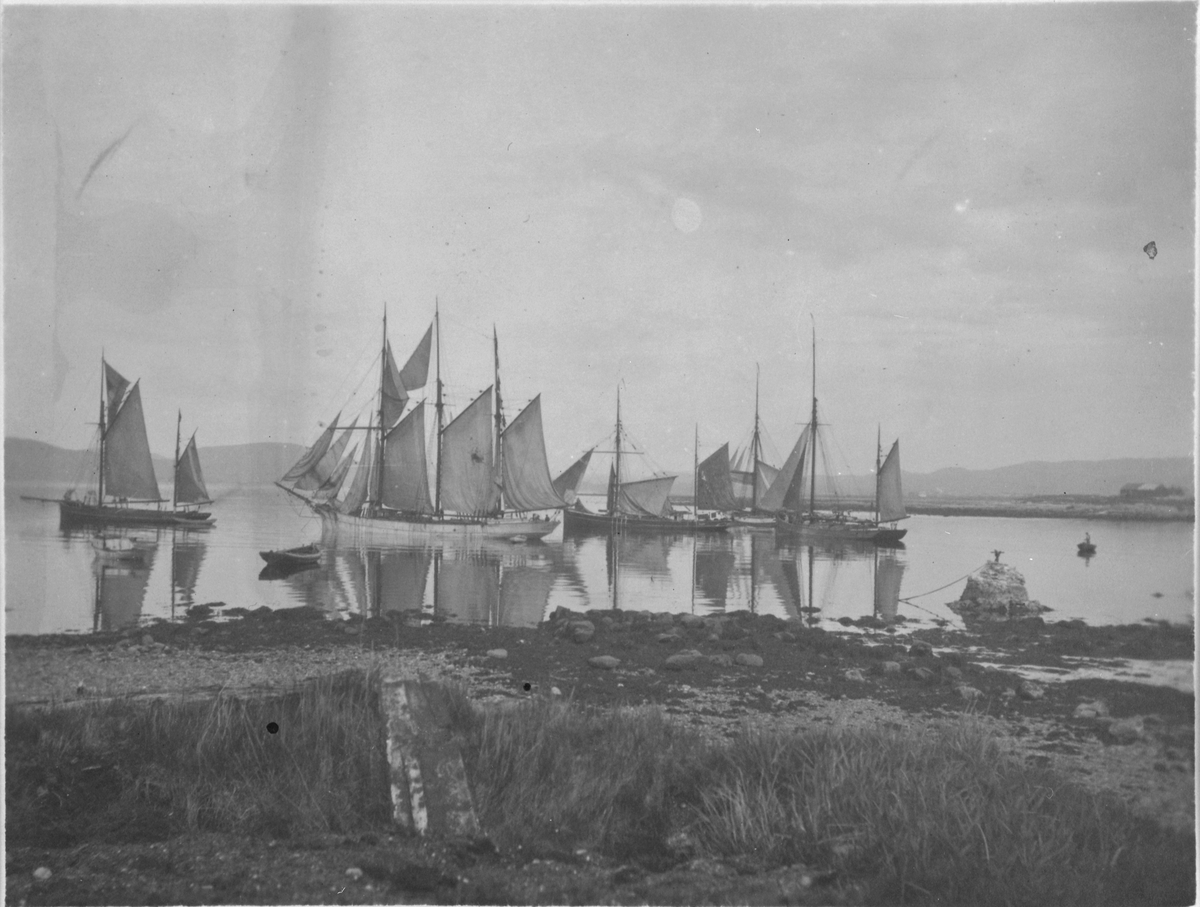 Seilbåter ved Uthaug, Ørlandet