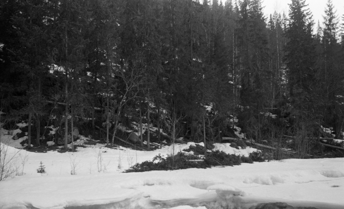 «Tømmertillegging på snøen» ved Vinstra i Nord-Fron i Midt-Gudbrandsdalen. Fotografiet ble tatt i april 1954. Fotografen later til å ha stått på elveisen med kameraet vendt mot elveskråningen, der noen hadde felt og kvistet enkelte grantrær, som fortsatt lå på snøen, omgitt av bar. Det var ikke slik tømmermålerne og fløterne forventet å finne tømmeret. Målerne ville ha det samlet i flaker eller strøvelter, der de kunne inspisere hver enkelt stokk - ikke vasse i snø mellom hver stokk. Og fløterne ville helst ha det i velter på steder der det var enkelt å ruller stokkene ut i elveløpet når elva fikk høvelig vannføring.