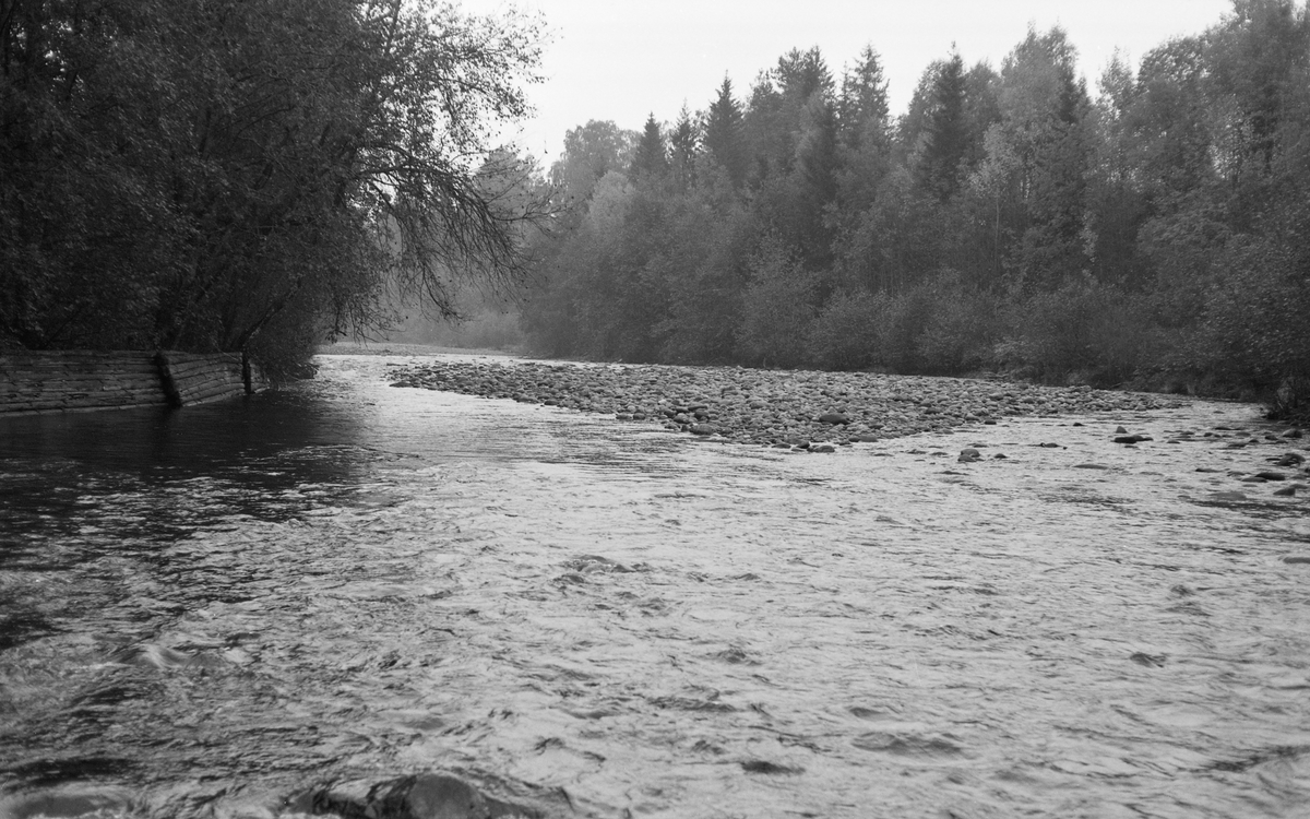 Fra nedre del av elva Vismunda, like ved utløpet i Mjøsa ved Biriverket og Svennes på Mjøsas vestside. Dette fotografiet ble tatt sommeren 1960, på et tidspunkt da vannføringa var forholdsvis liten. Fotografiet er tatt i motstrøms retning. Langs den søndre elvebredden ser vi en såkalt skådam, en skjerm som skulle hindre at fløtingstømmeret drev inn på land under flom, slik at det måtte bæres tilbake til vassdraget. Denne typen skådammer kaltes også bukkedammer, fordi fronten som skulle avlede tømmeret var montert på ei rekke av trebukker som ble holdt på plass av stein på landsida.
