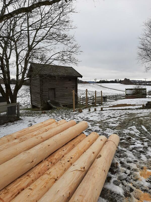 Bildet viser barkede tømmerstokker som ligger foran et laftet hus. Huset er ei gammel kvern. Det er snø på bakken.