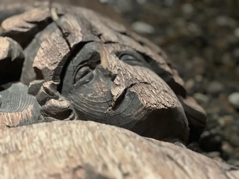 The photo shows an "atlant", a wooden figure probably used as an ornament on a ship.