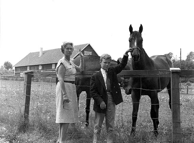 En pojke står och klappar på två hästar i en hage. Hans mamma står intill.