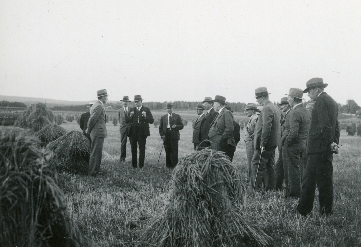 Kornrådet på Kalnes landbruksskole ved Sarpsborg 26.8.1936.