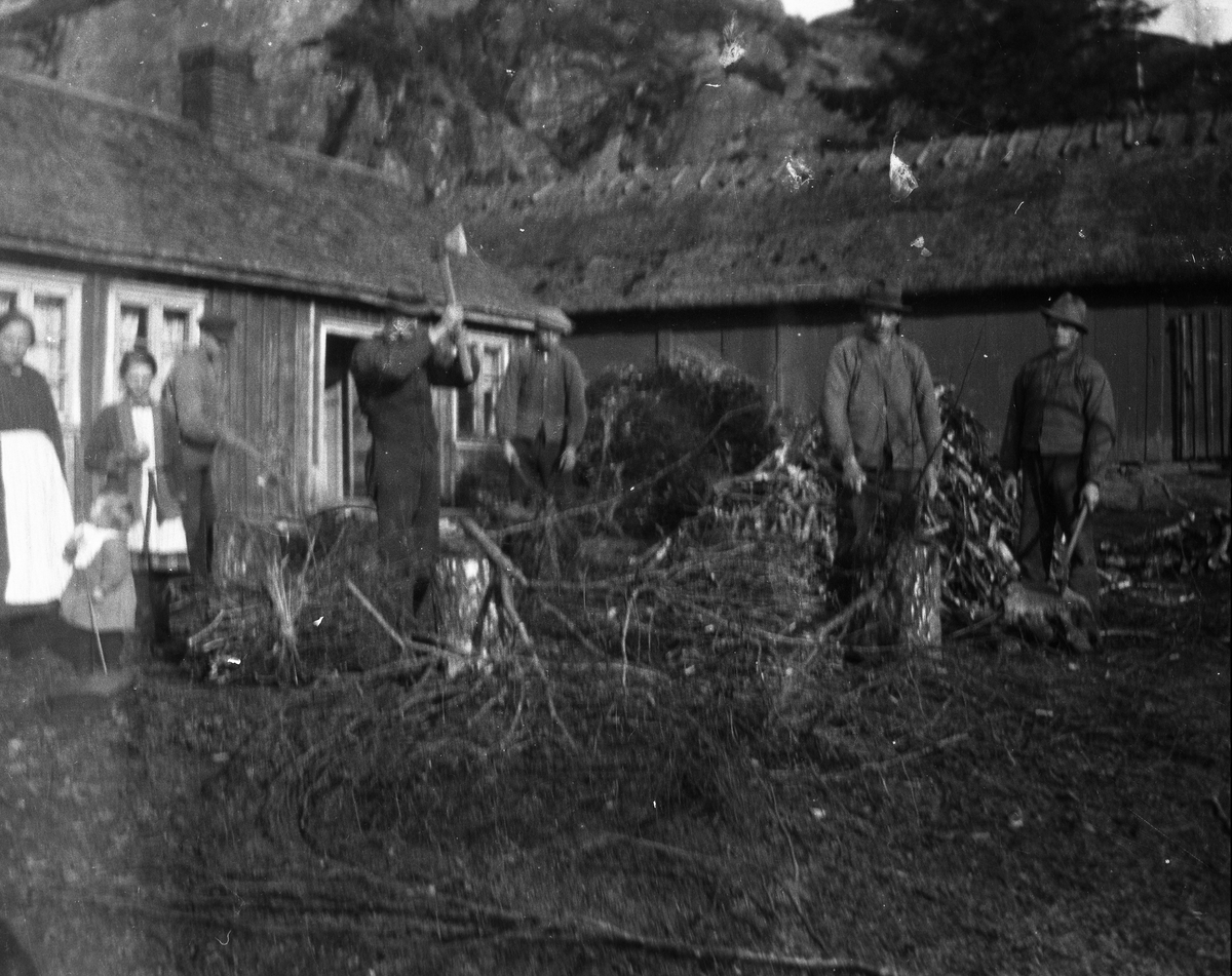 Vedhuggning på Lilla Barkhult, Ry Veddige. Fem män med yxor och huggkubbar av björk är engagerade i att förvandla rishögar till ved. Ett par kvinnor och ett litet barn är också med på bild.