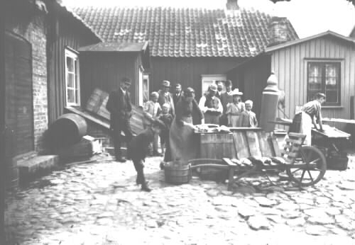Laxrensning på Algernon Stenbergs gård.   Namn uppgifter genom att jämföra med bild nr 00063 där uppgifterna kommer från boken Severin Nilson i Halland.