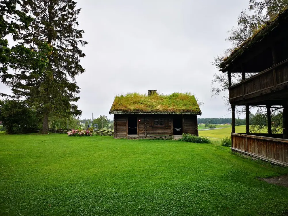 Bildet viser et laftet hus om sommeren. Det er torv på taket.