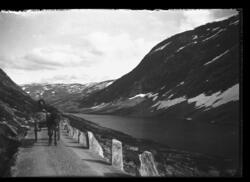 Person kjører hest og kjerre på smal vei langs en fjord.