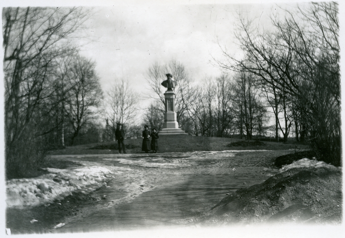 Västerås. Vasaparken med bysten av Gustav Vasa. - Västmanlands läns ...