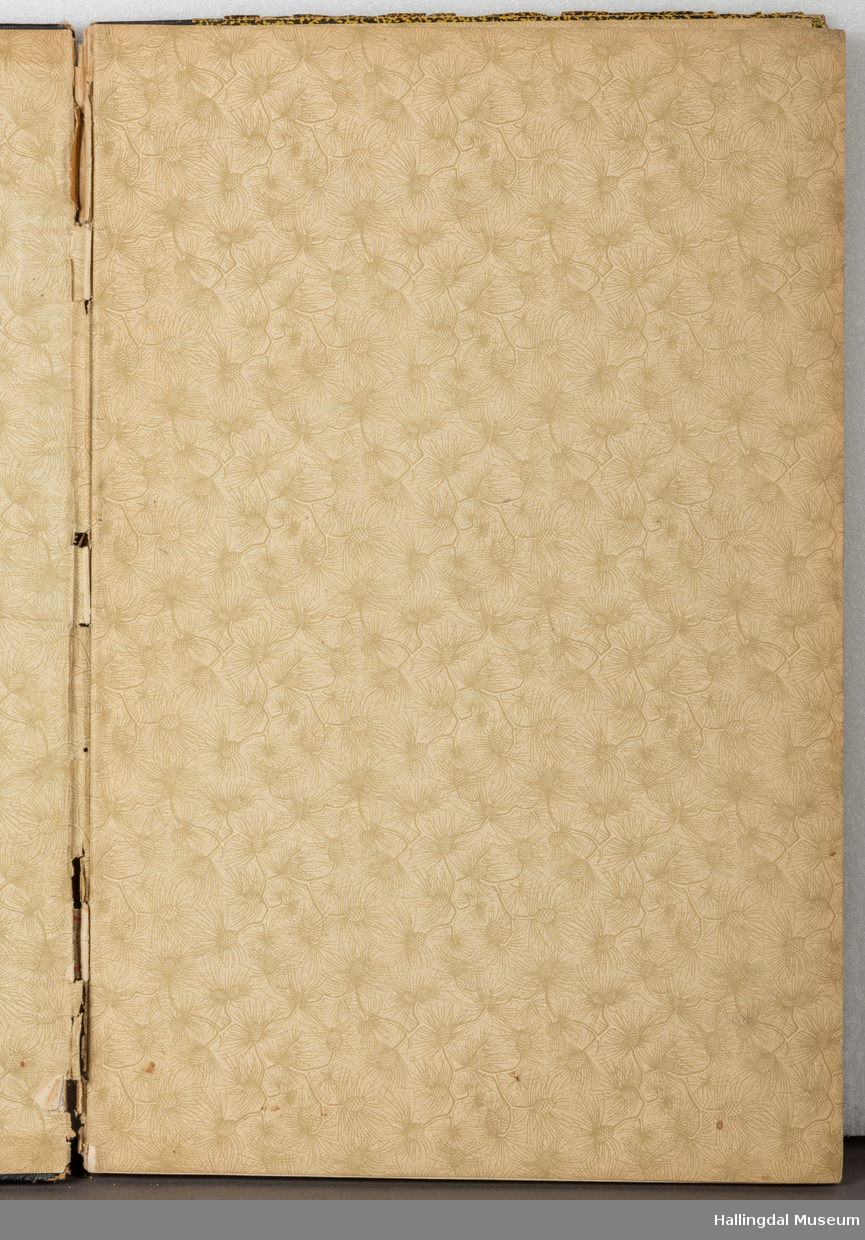 Skrivebok eller tegnebok, tilhørt Gunnar Gunnarson (1906 - 1953), kunstsmed som holdt til i Hol kommune. Boka er innbundet i bokpapp med sort og gult-mønstrete cover med sort rygg. Innbindingen er løs og går i oppløsning i ryggen. Innsiden av coveret har hvitt og gult papir med konglemønster og barnåler. Opprinnelig blanke, hvite sider i tykt ark, nærmest akvarellpapir, skrevet og tegnet med blekk.
Trolig skolebok/notatbok fra da Gunnar Gunnarson gikk på Norsk Kunsthandverksskule på Voss. Inneholder håndskrevne tekster og notater i tillegg til detaljerte illustrasjoner om ornamentlære, fargelære og prydkunstlære i norsk folkekunst, i tillegg til mer. 46 sider er brukt.