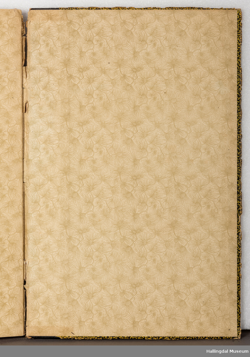 Skrivebok eller tegnebok, tilhørt Gunnar Gunnarson (1906 - 1953), kunstsmed som holdt til i Hol kommune. Boka er innbundet i bokpapp med sort og gult-mønstrete cover med sort rygg. Innbindingen er løs og går i oppløsning i ryggen. Innsiden av coveret har hvitt og gult papir med konglemønster og barnåler. Opprinnelig blanke, hvite sider i tykt ark, nærmest akvarellpapir, skrevet og tegnet med blekk.
Trolig skolebok/notatbok fra da Gunnar Gunnarson gikk på Norsk Kunsthandverksskule på Voss. Inneholder håndskrevne tekster og notater i tillegg til detaljerte illustrasjoner om ornamentlære, fargelære og prydkunstlære i norsk folkekunst, i tillegg til mer. 46 sider er brukt.