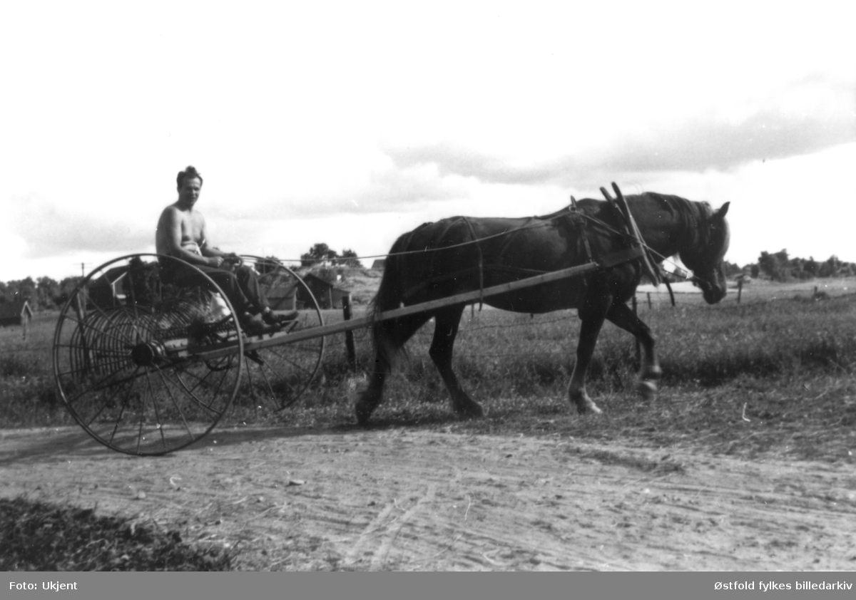 Høyonn på gården Lunde i Varteig 1958. På høyriva sitter Kristian Lunde. Hesten heter "Stina Molin".