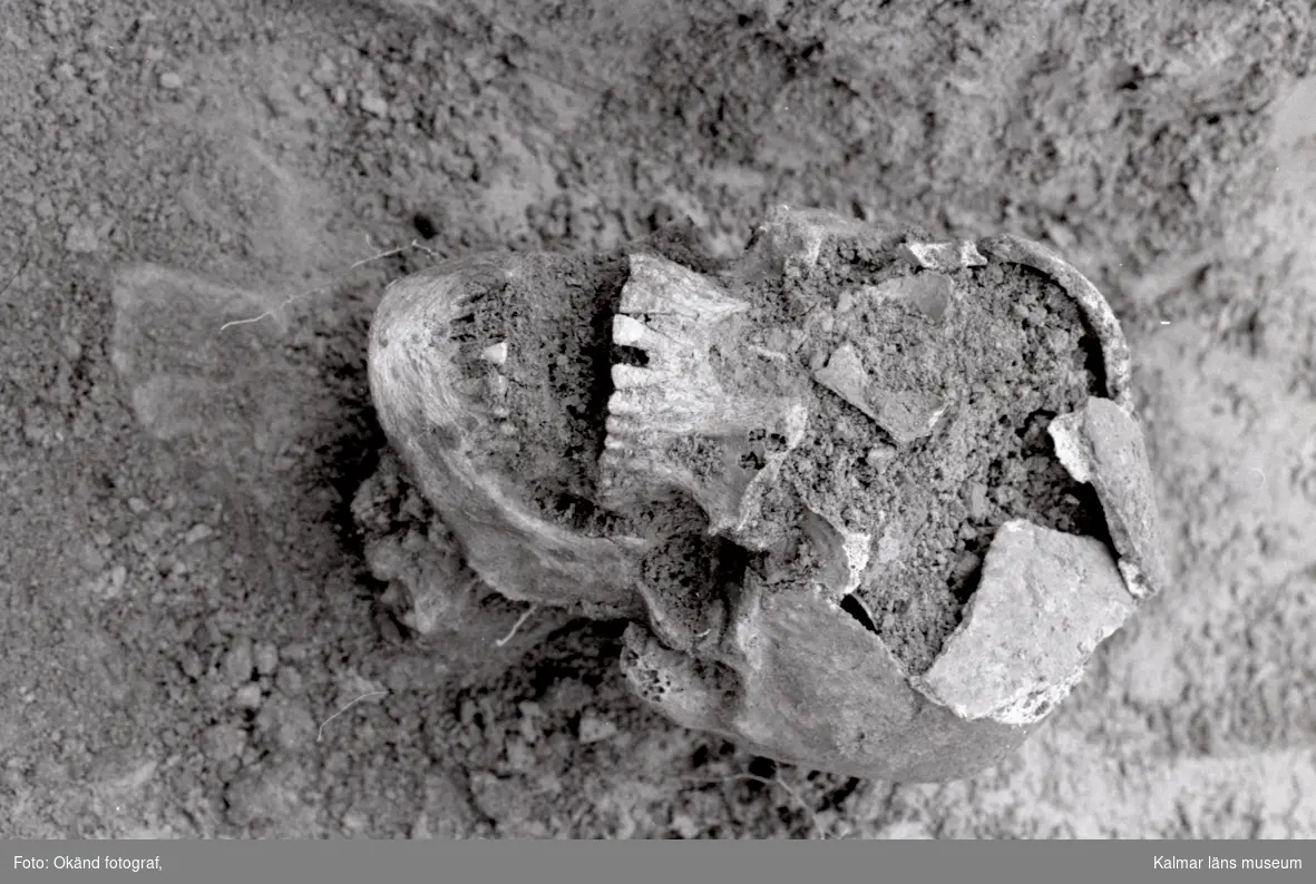 Kranium påträffat vid en arkeologisk undersökning i Mortorp.