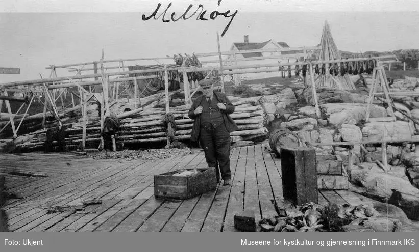 Bildet viser en eldre mann, mest sannsynlig Johan Normann Pedersen (f.1867) ca. på 1930-tallet, som står på kaia på Melkøya i Finnmark. Ved siden av han står det kasser med fisk. I forgrunnen til høyre ligger det en haug med fiskehoder. I bakgrunnen ser man fiskehjeller, flathjeller, og familie Normanns bolighus på Melkøya i Finnmark.