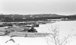 Barkeplass ved Seim i Sør-Odal kommune i Hedmark. Denne loka