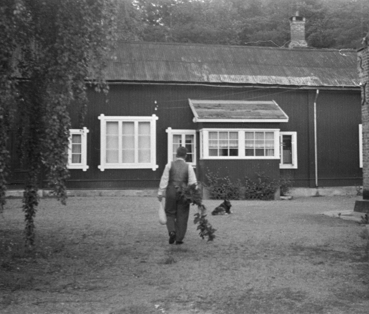 Mann Og Hund På Tunet Foran Et Hus Med Smårutete Vinduer Stående Panel Og Bølgeblikktak 